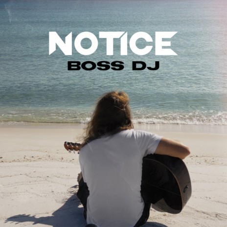 Boss DJ (Cover) | Boomplay Music