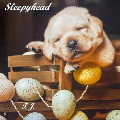 Sleepyhead | Boomplay Music