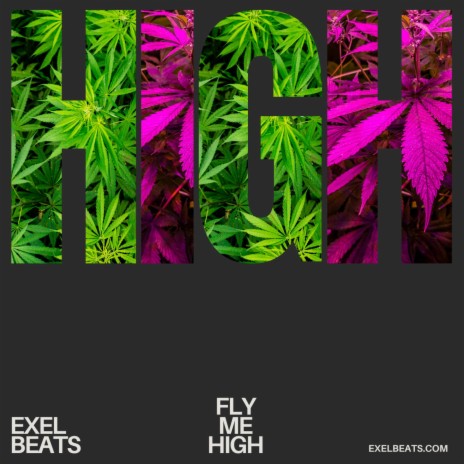 Fly Me High (Boom Bap Instrumental)