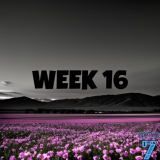 Week 16