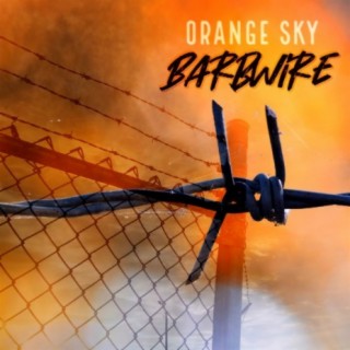 BarbWire