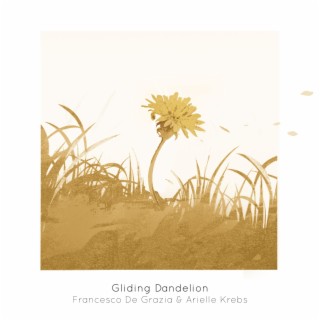 Gliding Dandelion