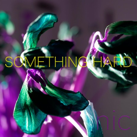 Something Hard (to my sister, Camilla) | Boomplay Music