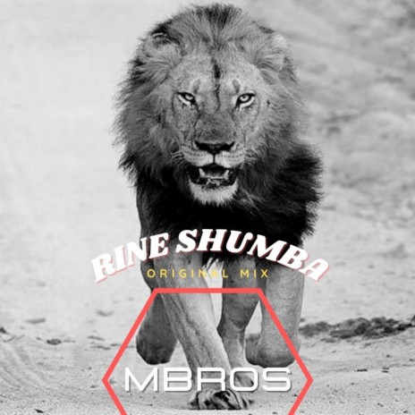 Rine Shumba (Original Mix) ft. MBROS | Boomplay Music