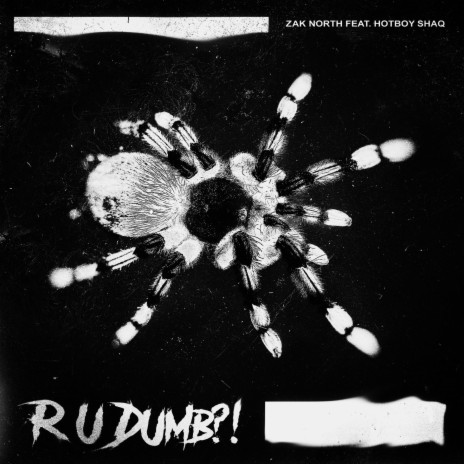 R U DUMB (Clean Version) ft. Hotboy Shaq | Boomplay Music
