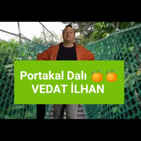 Portakal Dalı | Boomplay Music