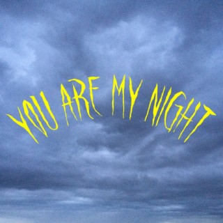 You Are My Night