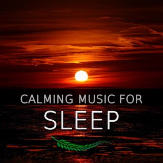 Calming Music for Sleep (Deep Sleep Dreams)