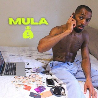 Mula