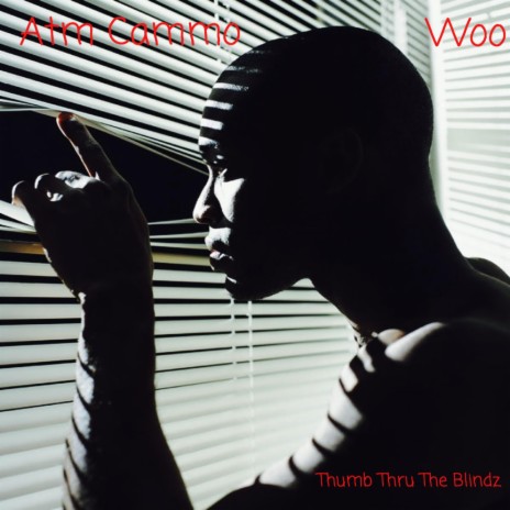 Thumb Thru The Blindz | Boomplay Music