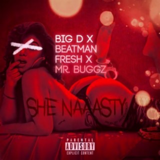 She Naaasty (feat. Big D. & Mr. Buggz)