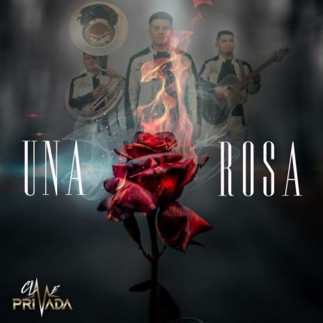 Una Rosa | Boomplay Music