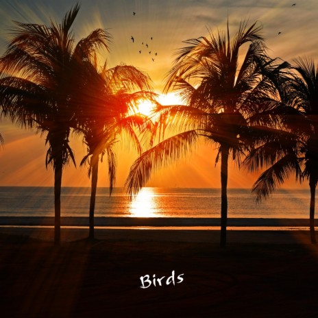 Birds | Boomplay Music