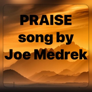 PRAISE lyrics | Boomplay Music