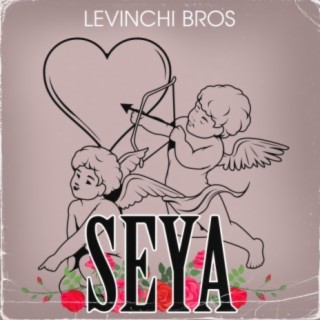 Levinchi Bros