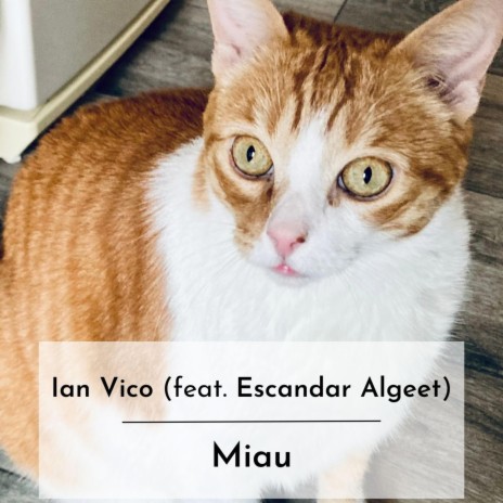 Miau ft. Escandar Algeet | Boomplay Music