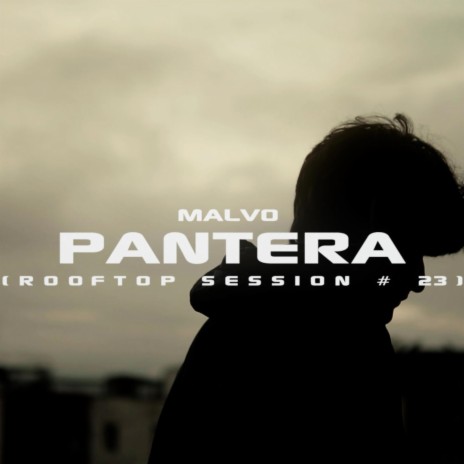 Pantera ft. Malvo | Boomplay Music