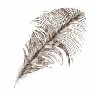 feathers