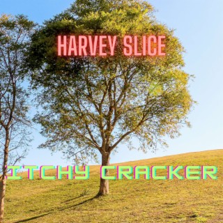 Harvey Slice
