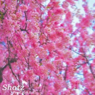 Shotz