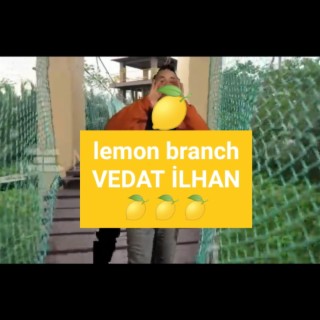 Lemon Branch