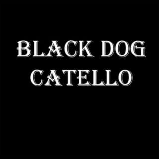 Black Dog Catello