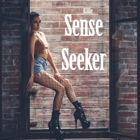 Sense Seeker | Boomplay Music