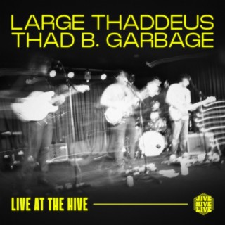 Large Thaddeus/Thad B. Garbage (Live at the Hive) lyrics | Boomplay Music