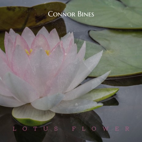 Lotus Flower | Boomplay Music