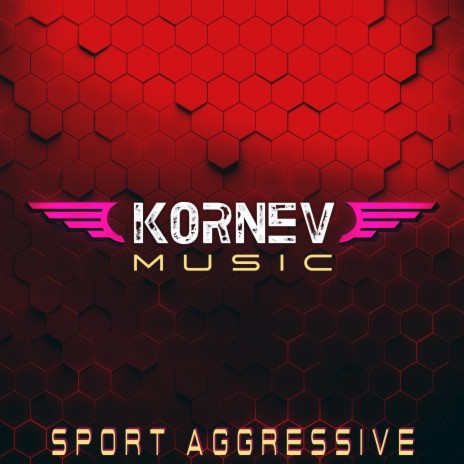 Sport Aggressive | Boomplay Music