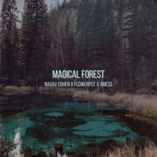 Magical Forest