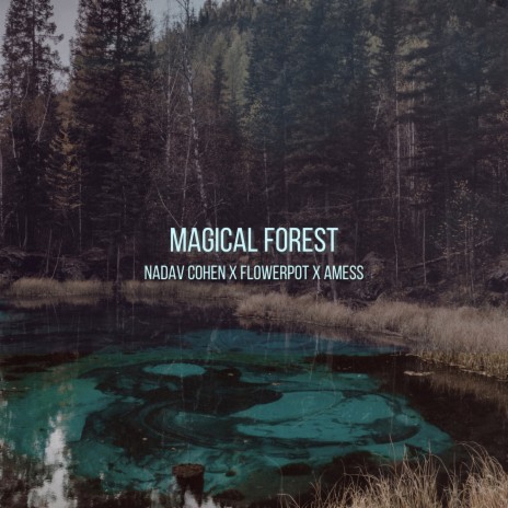 Magical Forest ft. flowerpot & Amess | Boomplay Music