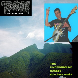 The Underground Basses-Solo Bass Works 1999