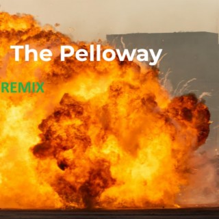 The Cartel Pelloway (feat. Cartello Co$ta) (Cartel Version)