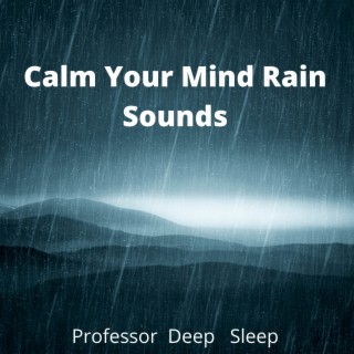 Calm Your Mind Rain Sounds