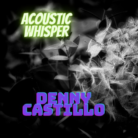 Acoustic Whisper | Boomplay Music