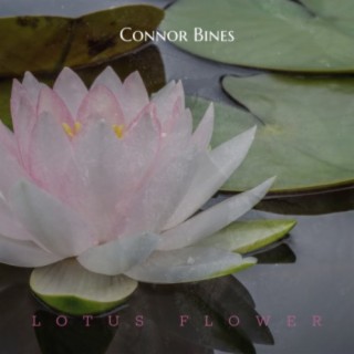 Lotus Flower