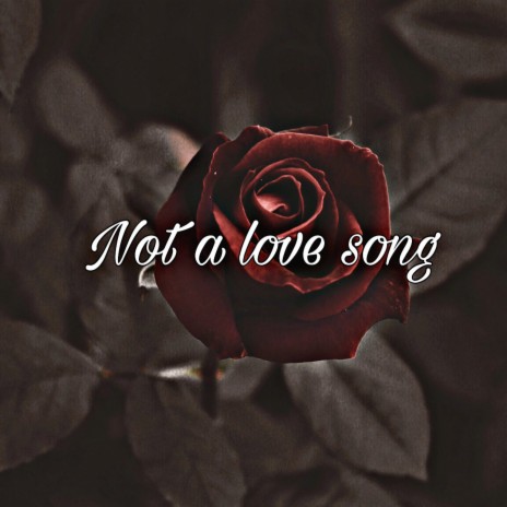 Not a love song | Boomplay Music