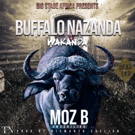Buffalo Nazanda | Boomplay Music