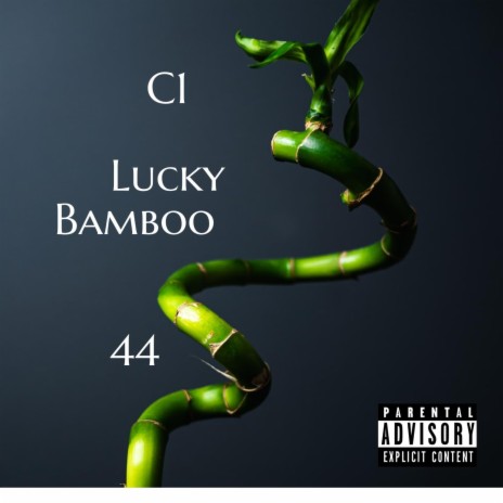 Lucky Bamboo 44 | Boomplay Music