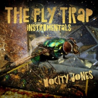 The Fly Trap Instrumentals