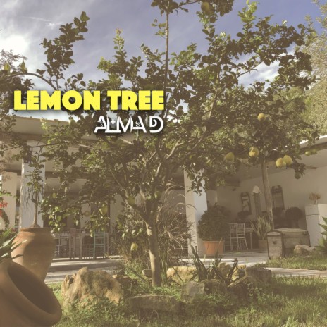 Lemon Tree (Original Version) | Boomplay Music