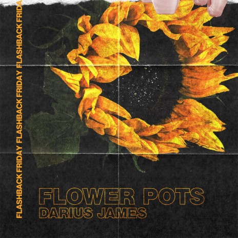 Flower Pots | Boomplay Music