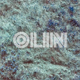 Olin