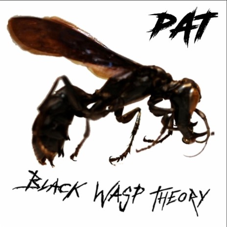 Black Wasp Theory | Boomplay Music