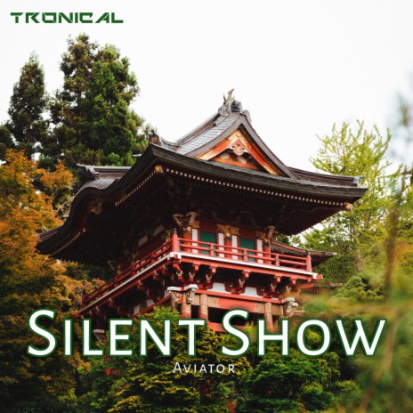 Silent Show | Boomplay Music