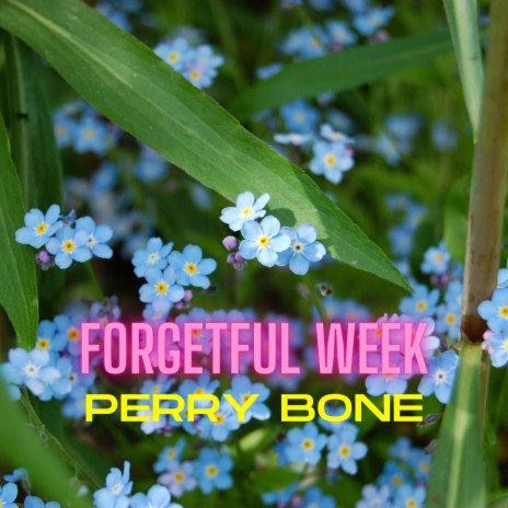 Forgetful Week | Boomplay Music