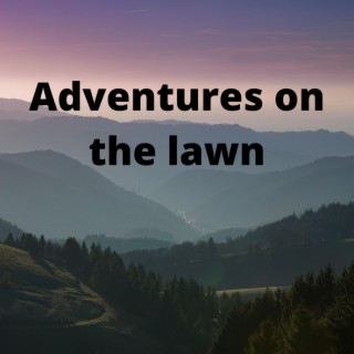 Adventures on the lawn