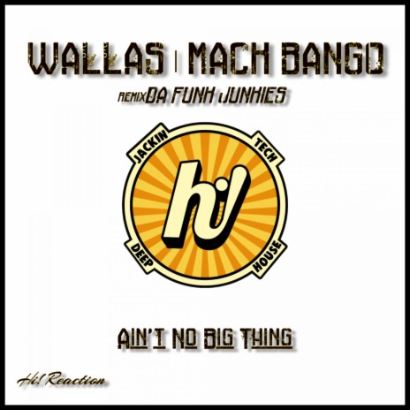 Ain't No Big Thing (Da Funk Junkies Radio Edit) ft. Mack Bango
