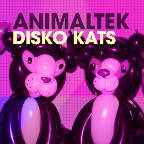 Disko Kats | Boomplay Music